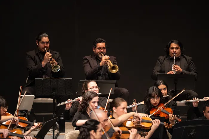 Fotografía 6 del concierto